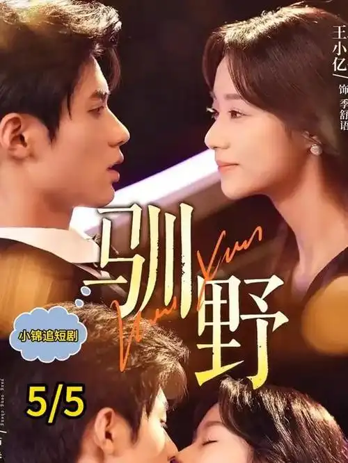 暗巷手记剧集海报
